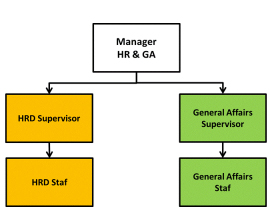 struktur HRGA-3